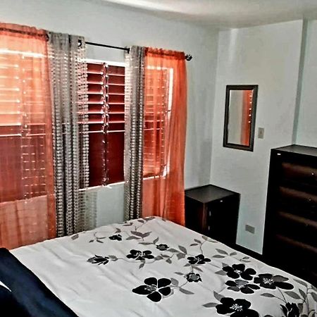 The Mango Lodge 킹스톤 외부 사진