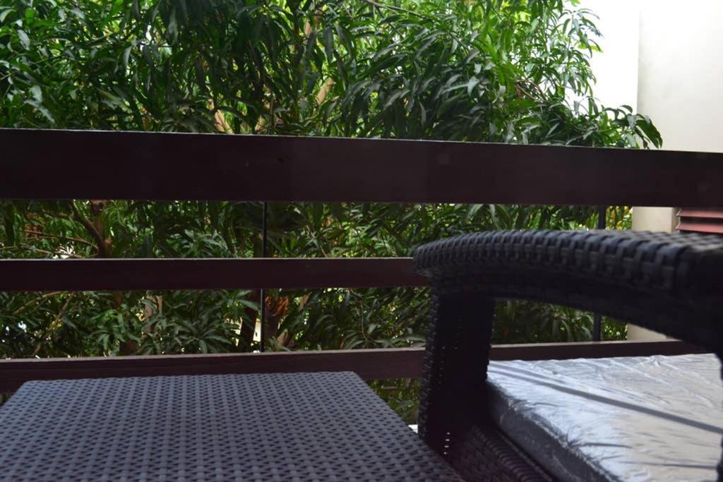 The Mango Lodge 킹스톤 외부 사진