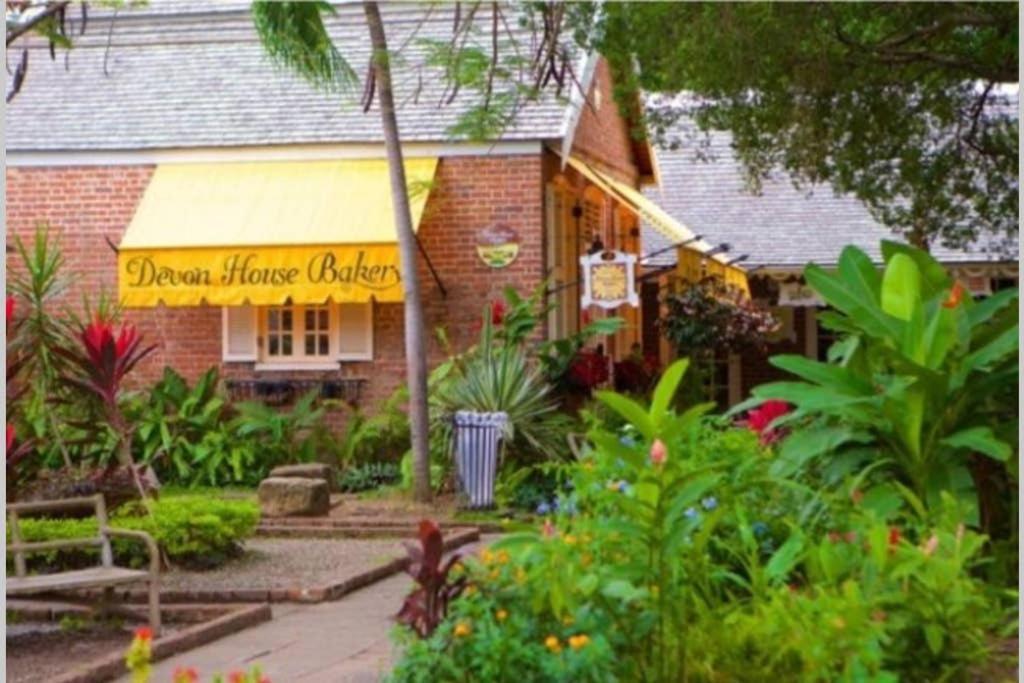 The Mango Lodge 킹스톤 외부 사진